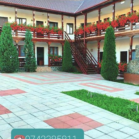 Cris & Mona Hotel Săpînţa Екстериор снимка