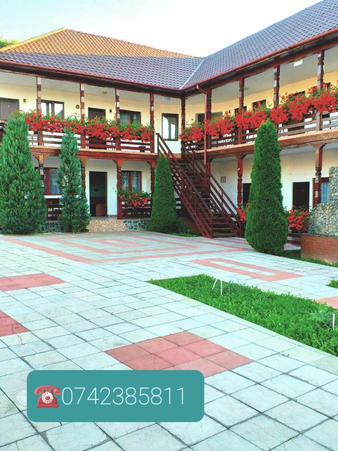 Cris & Mona Hotel Săpînţa Екстериор снимка