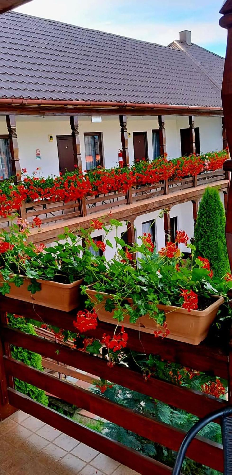 Cris & Mona Hotel Săpînţa Екстериор снимка