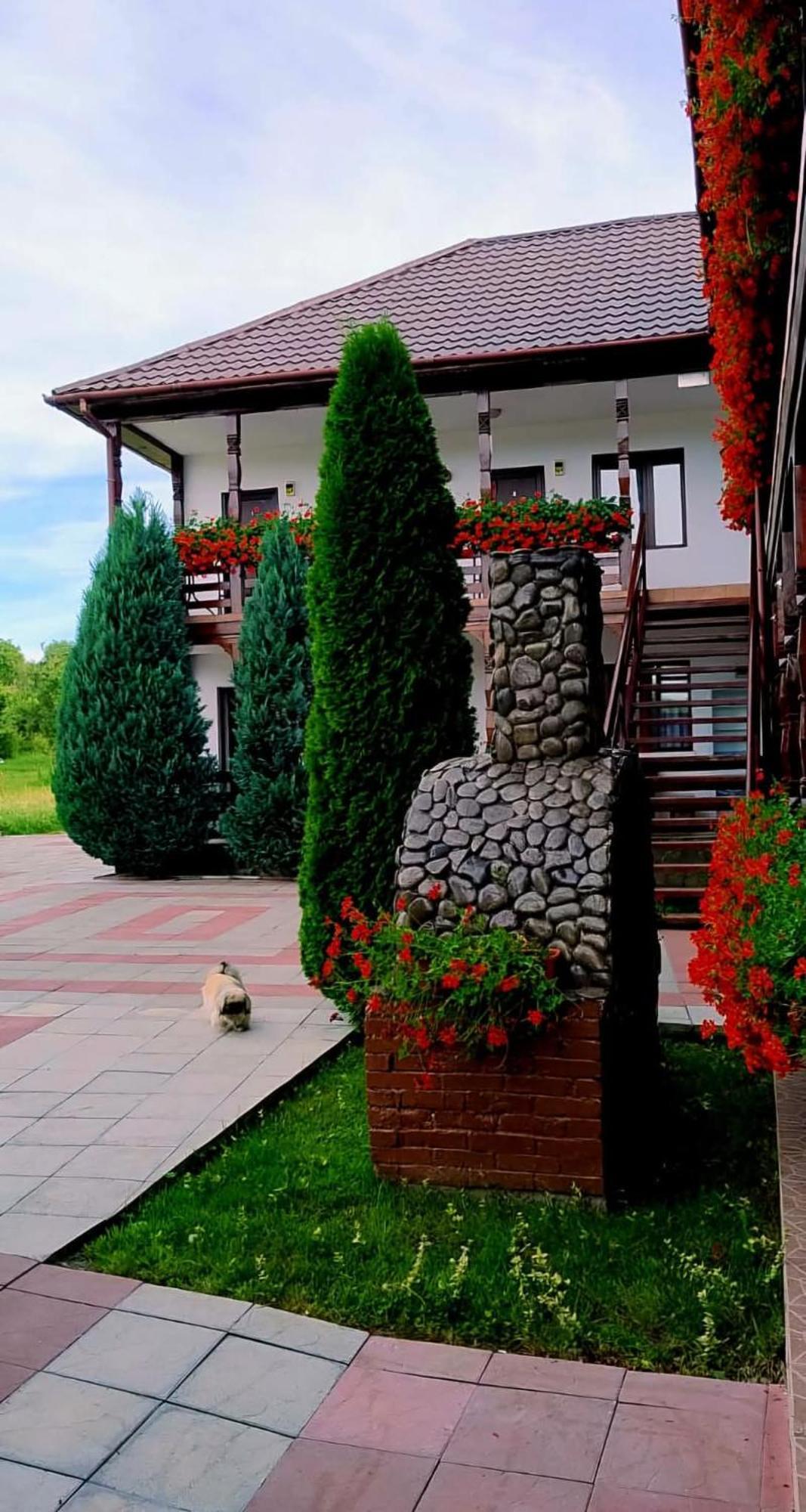 Cris & Mona Hotel Săpînţa Екстериор снимка
