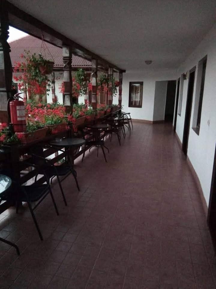 Cris & Mona Hotel Săpînţa Екстериор снимка