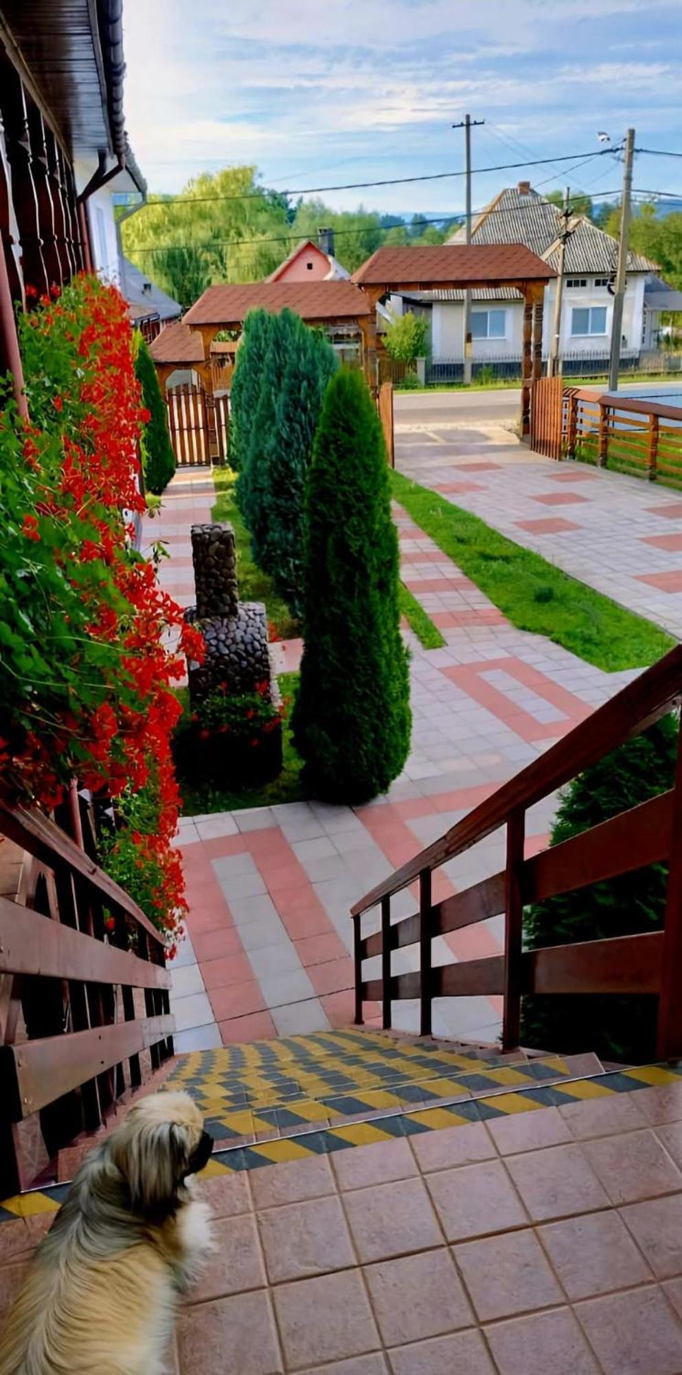 Cris & Mona Hotel Săpînţa Екстериор снимка
