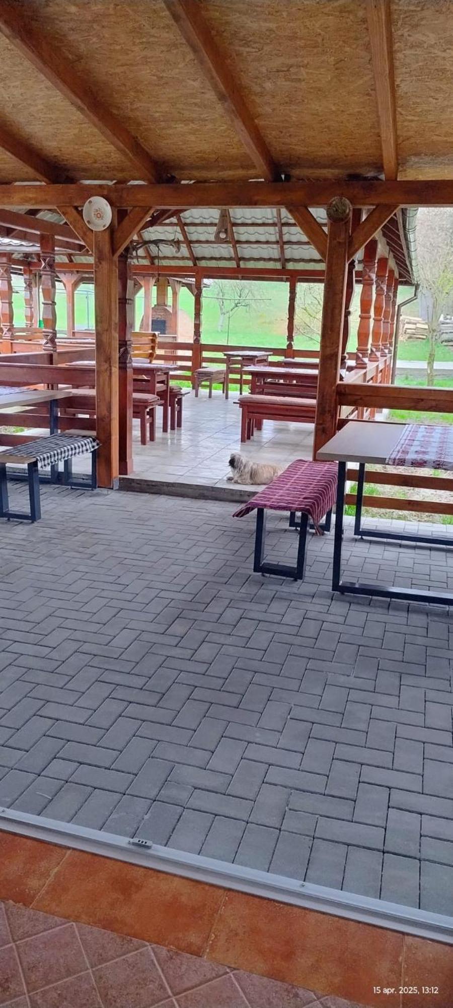Cris & Mona Hotel Săpînţa Екстериор снимка